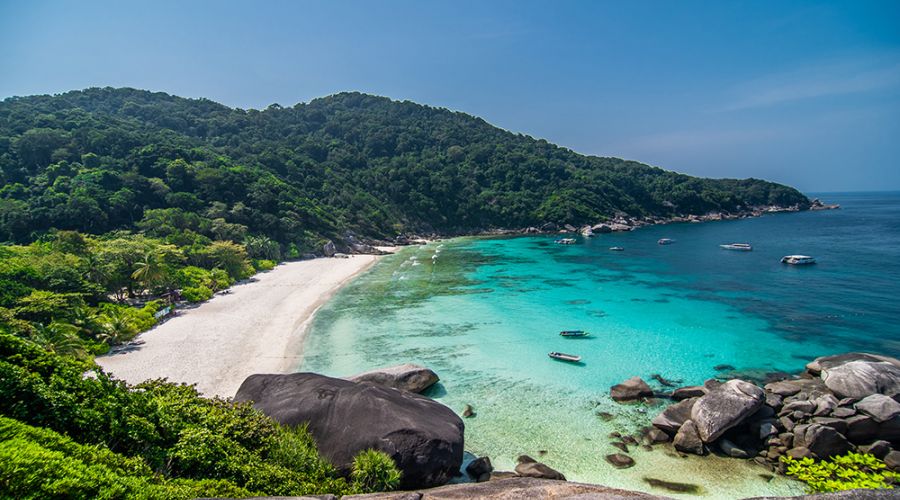 Esque Sukumwit 101/1